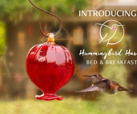Hummingbird Haven B&B