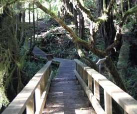 Whiskey Landing #210 Seaside by Natural Elements Vacation Rentals