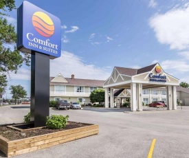 Comfort Inn & Suites Collingwood