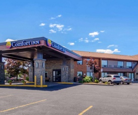 Comfort Inn St. Catharines Niagara