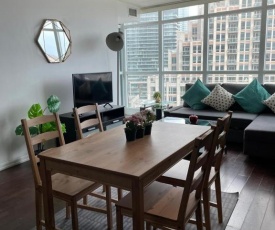 Toronto Downtown 2 bedroom Families only sleeps 5