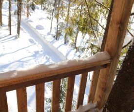 Les chalets du Trappeur