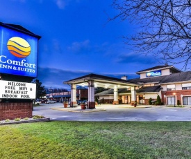 Comfort Inn & Suites Ambassador Bridge