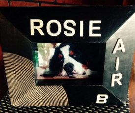 Rosie AirB