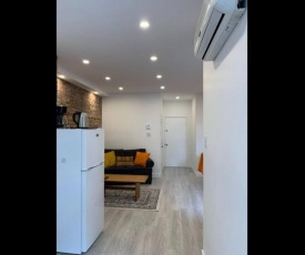 Bel Appartement 3 12 Au Coeur Du Plateau