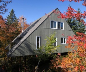 Chalet familial du Plateau