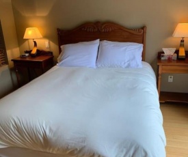 One bedroom condo in Piedmont view on Sommet St-Sauveur